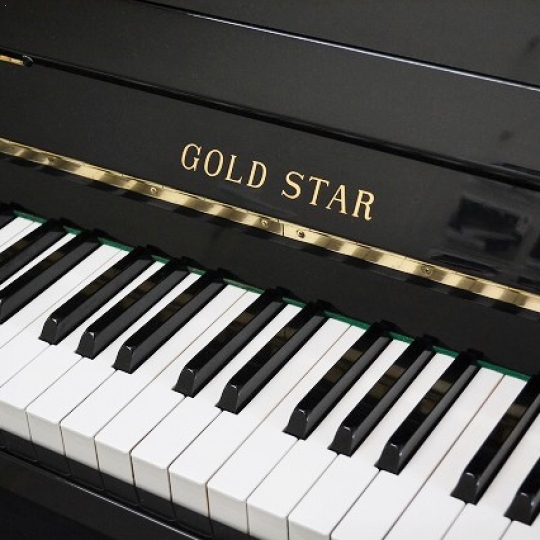 Piano Goldstar TG150E Black