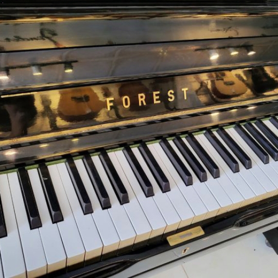 Piano Forest F1N Black 