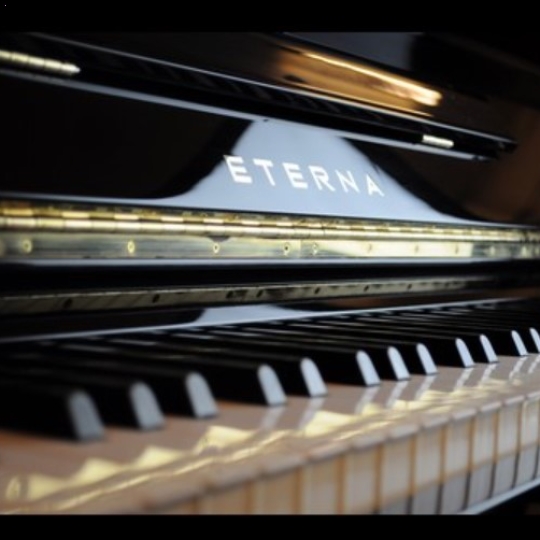 Piano ETERNA 35