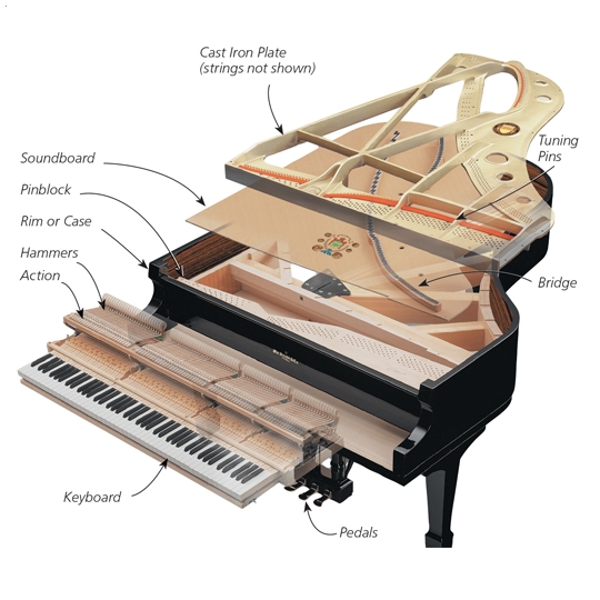 Grand Piano Yamaha C2X-PE