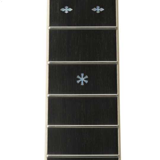 Guitar Yamaha LS36 ARE