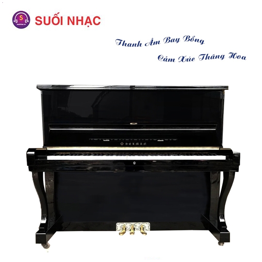 Piano Helman 2-A Black