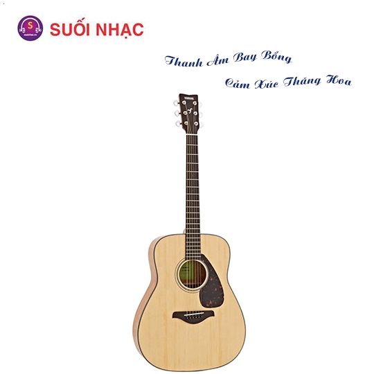 Guitar FG800M
