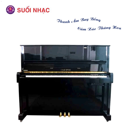 Piano Goldstar TG150E Black
