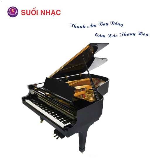 Piano Kawai KG5C Black