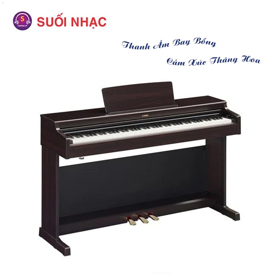 Digital Piano Yamaha SET YDP-165R + BENCH + PA-150B