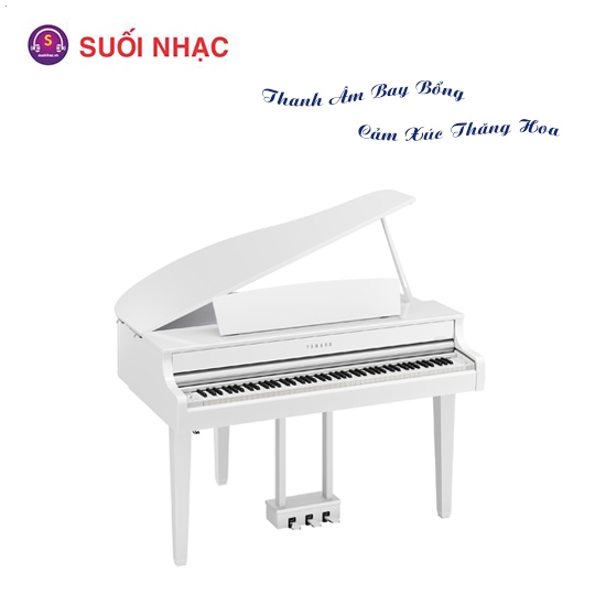 Piano Điện Yamaha CLP-865GPWH + BENCH + PA 500