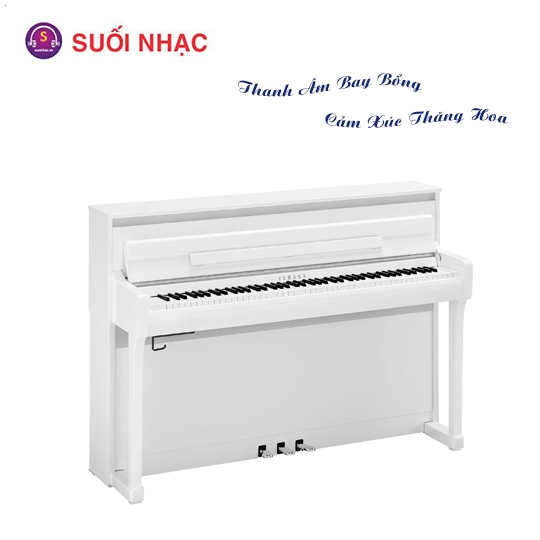 Piano Điện Yamaha CLP-885PWH + BENCH + PA 500
