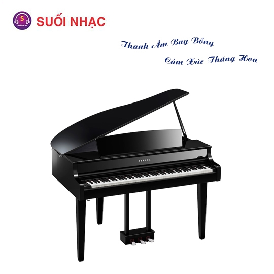 Piano Điện Yamaha CLP-865GP + BENCH + PA 500