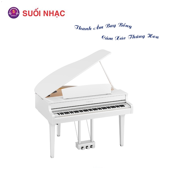 Piano Điện Yamaha CLP-895GPWH + BENCH + PA 500
