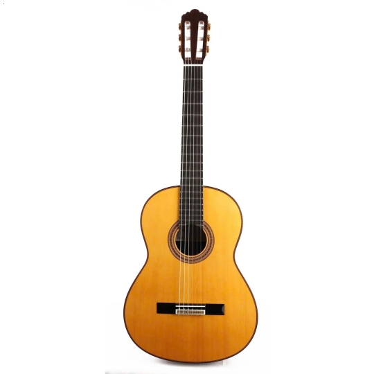 Guitar Yamaha GC42S