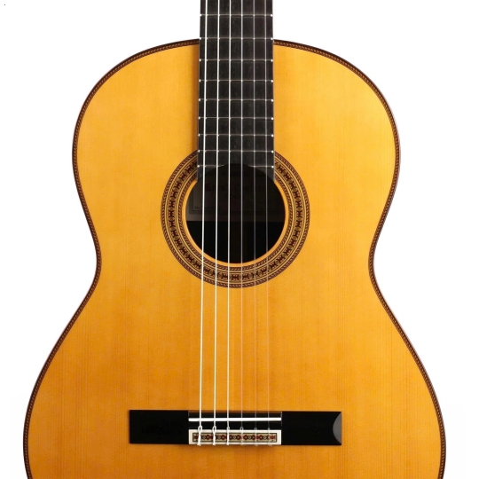 Guitar Yamaha GC42S