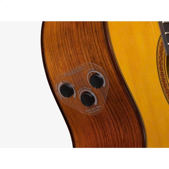 Guitar Yamaha CG-TA