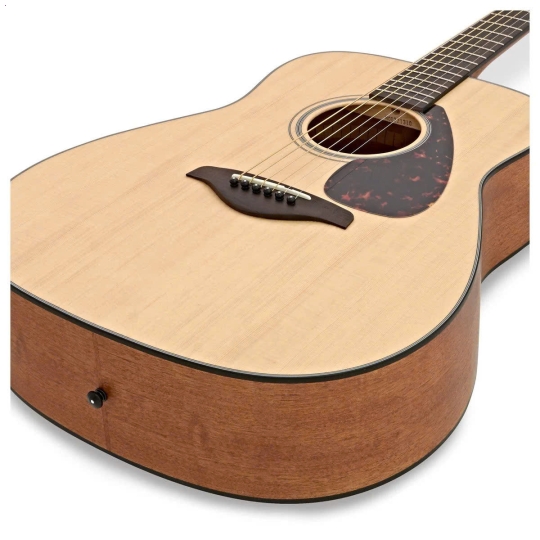 Guitar FG800M