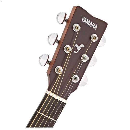 Guitar FG800M