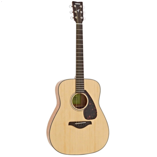 Guitar FG800M
