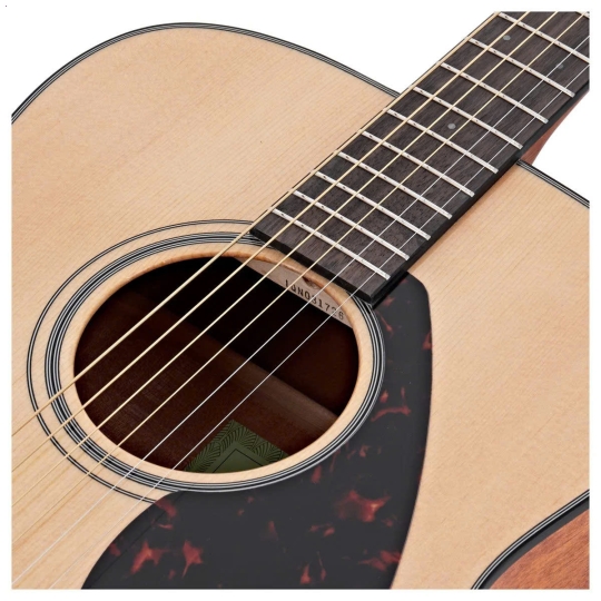 Guitar FG800 Natural/ Black/ Brown Sunburst/ Sand Burst