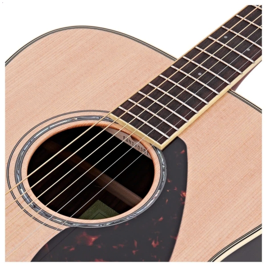 Guitar FG830 Natural/ Autumn Burst/ Tobacco Brown Sunburst