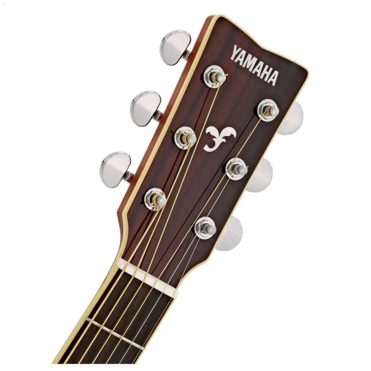 Guitar FG830 Natural/ Autumn Burst/ Tobacco Brown Sunburst