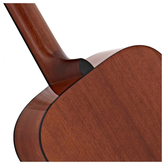 Guitar FS800 Natural/ Sand Burst/ Tinted