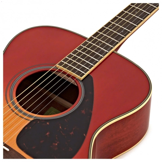 Guitar FS820 Natural/ Autumn Burst/ Black/ Ruby Red/ Turquoise