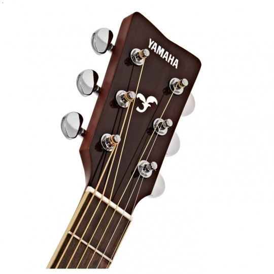 Guitar FS820 Natural/ Autumn Burst/ Black/ Ruby Red/ Turquoise