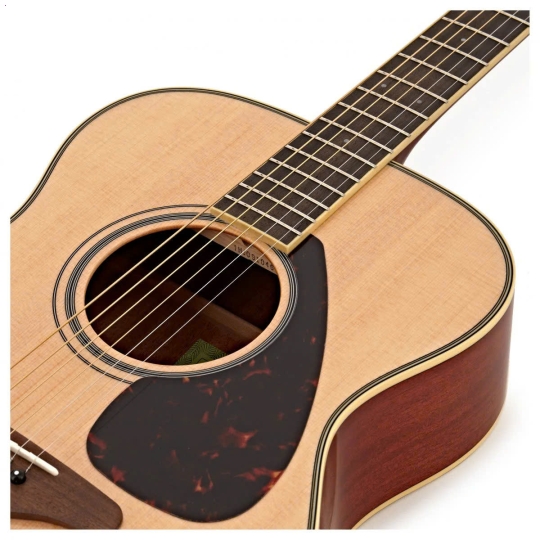 Guitar FS820 Natural/ Autumn Burst/ Black/ Ruby Red/ Turquoise
