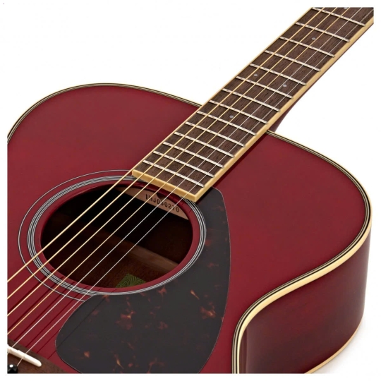 Guitar FS820 Natural/ Autumn Burst/ Black/ Ruby Red/ Turquoise